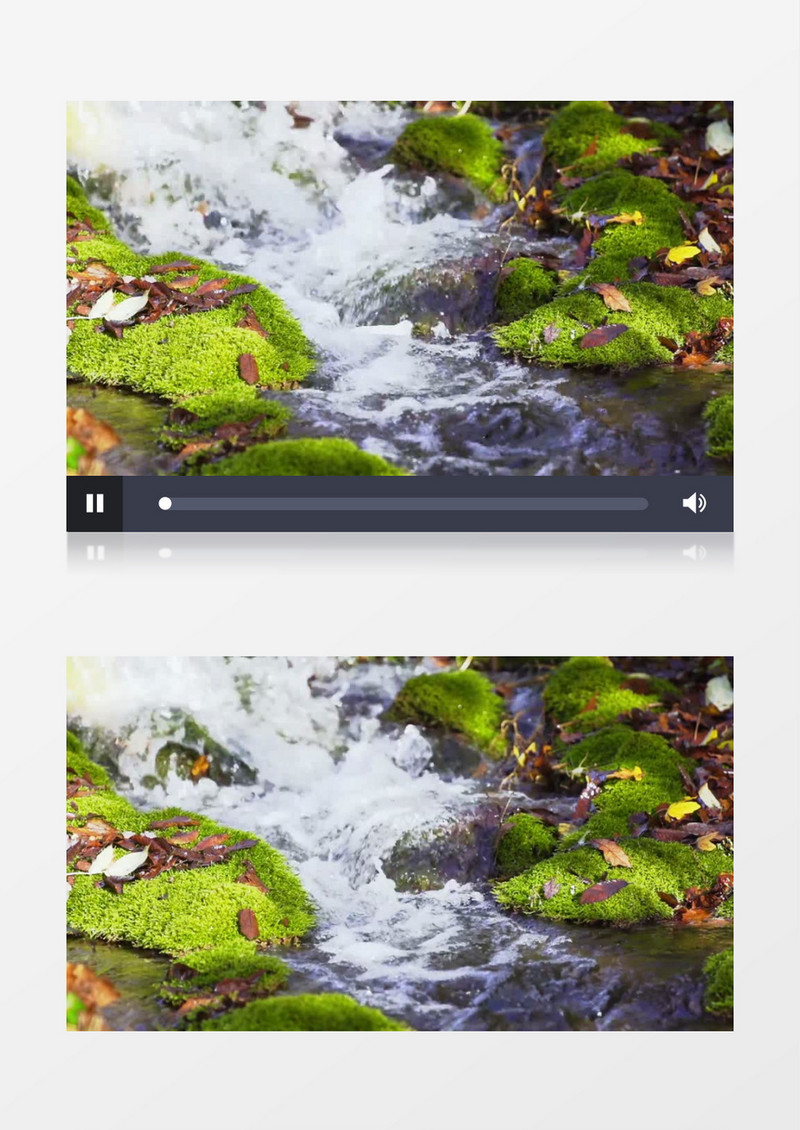 户外森林小溪岩石河水溪水流动实拍视频素材