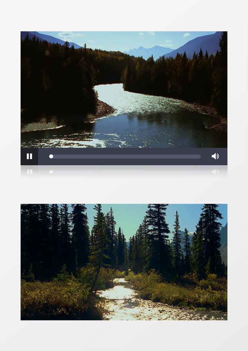 森林中小溪流动实拍视频素材