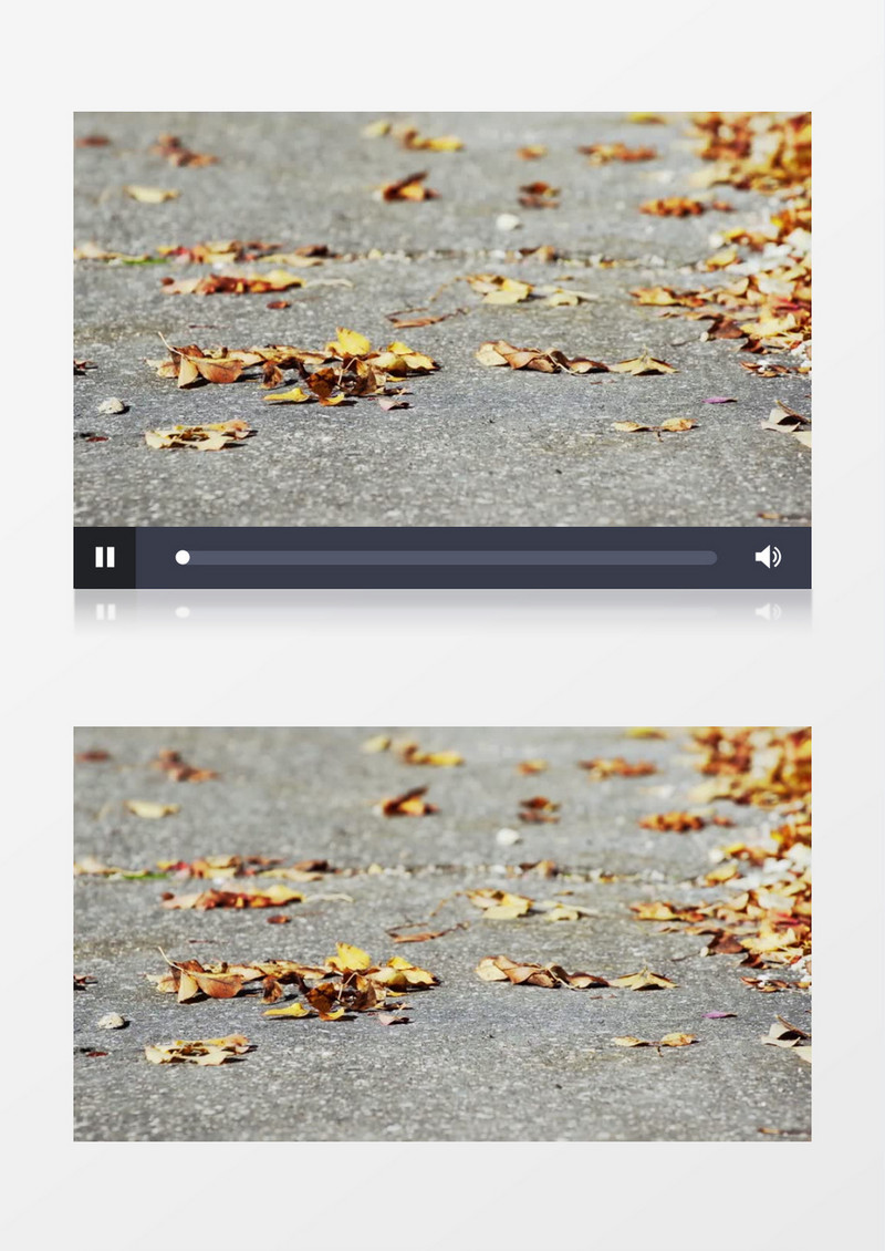 特写拍摄秋天公园落在地面的枫叶枯叶实拍视频素材