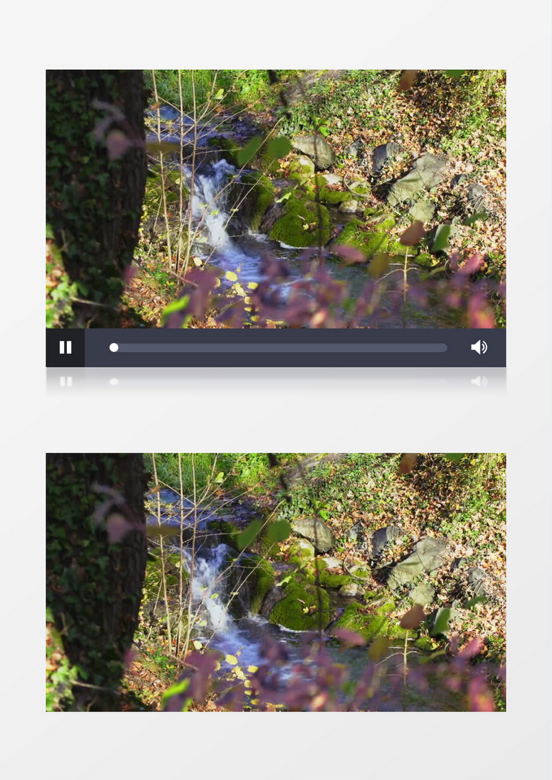 户外荒野宁静的小溪流水实拍视频素材