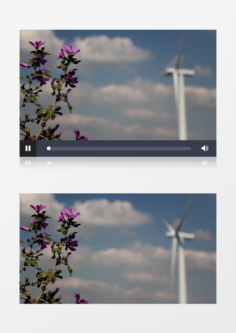 花卉风力发电实拍视频素材