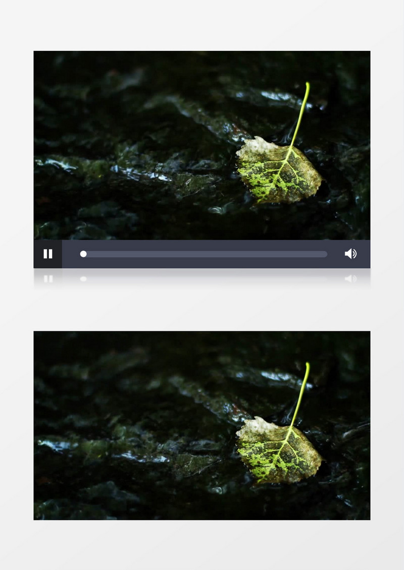 特写拍摄户外森林小溪落叶实拍视频素材