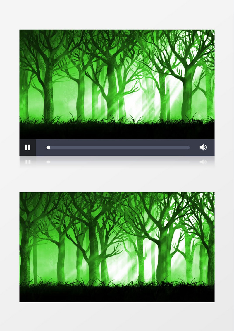 绿色范围的树林视频素材