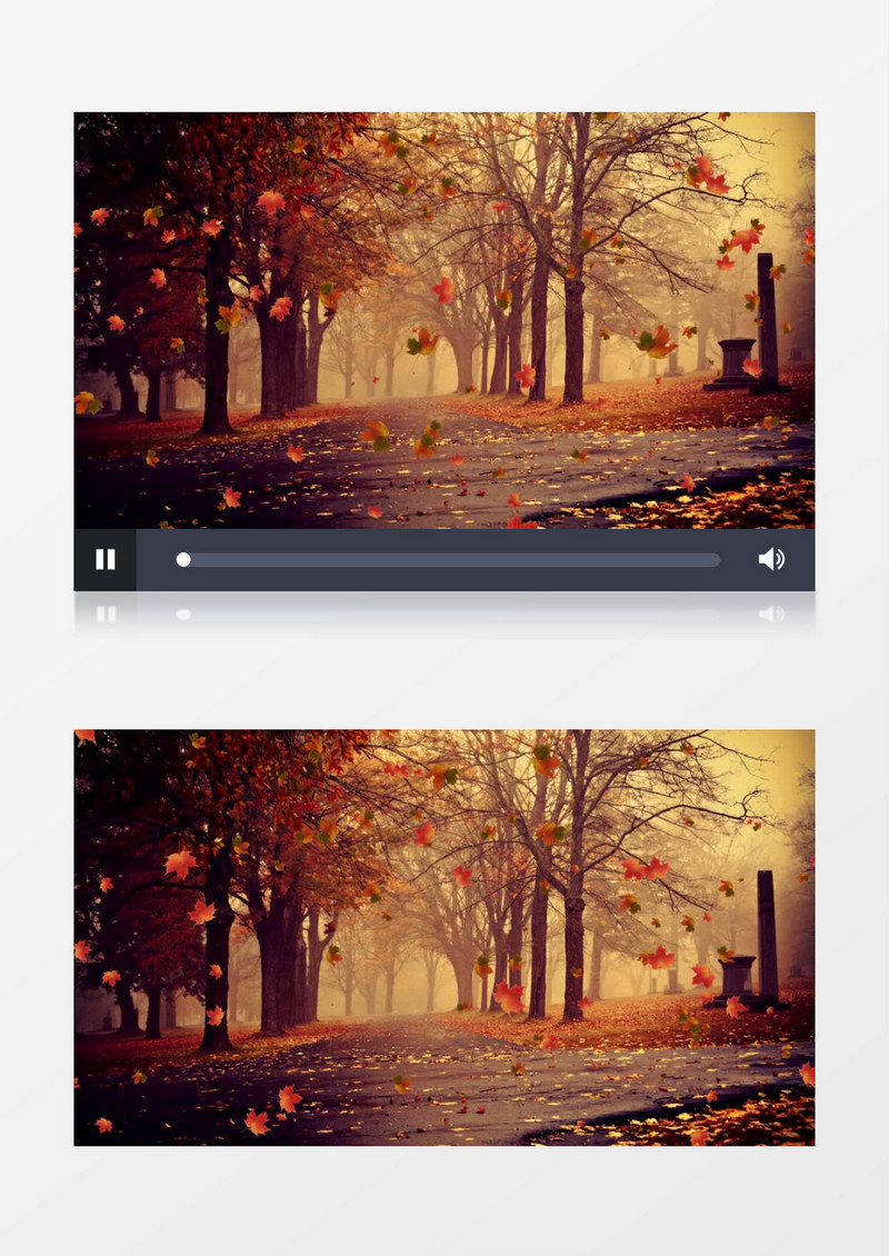 秋天飘落的枫叶小路背景视频素材