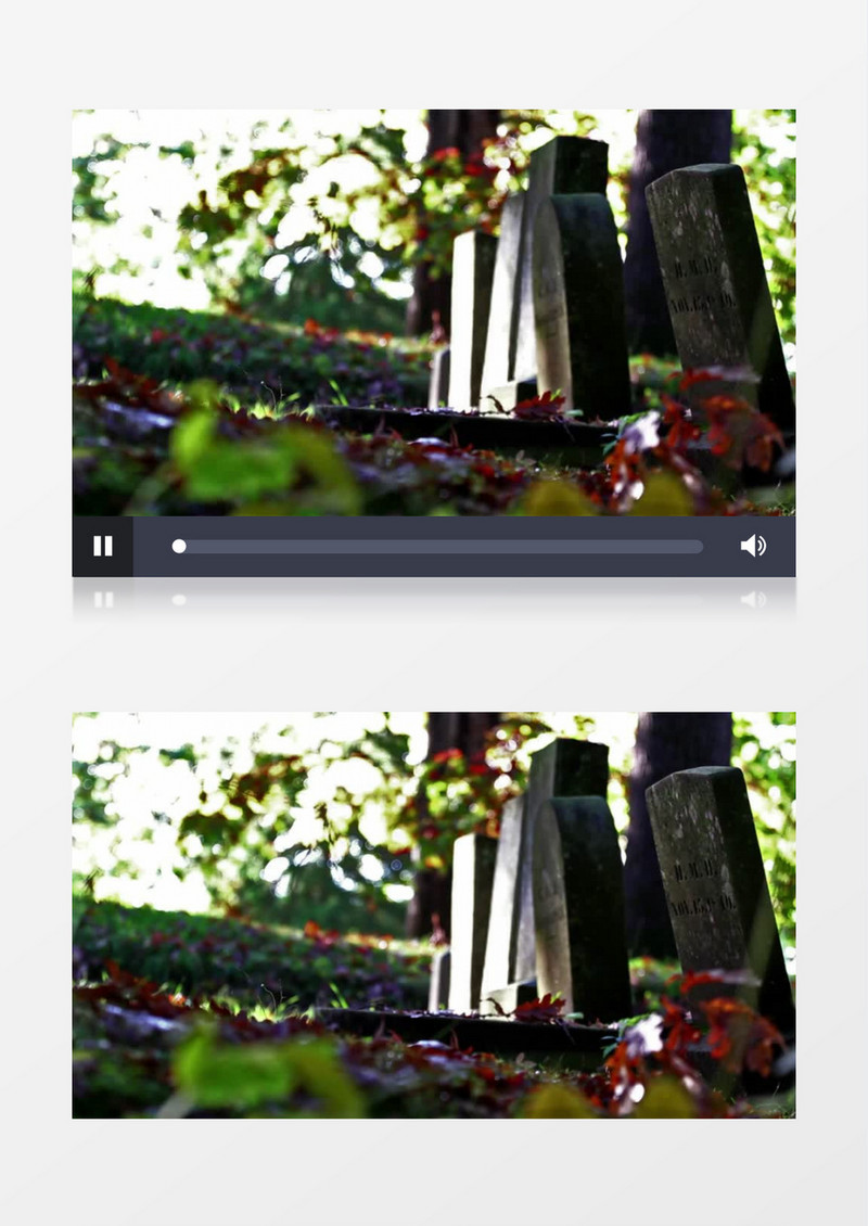 绿色丛林中的墓碑实拍视频素材