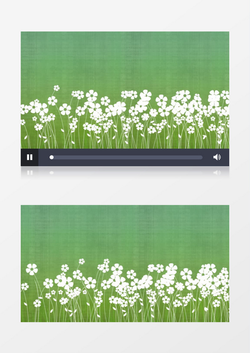 流动盛开的菊花绿色卡通背景视频素材