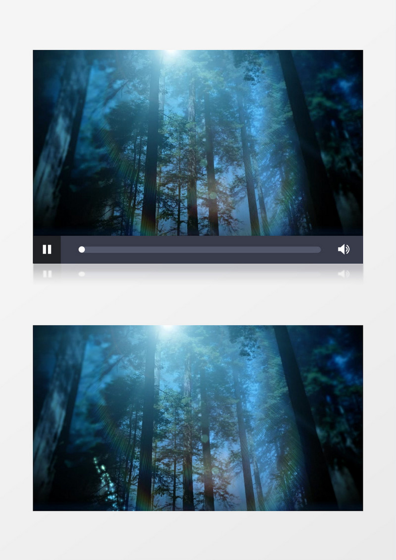 神奇森林梦幻森林背景视频
