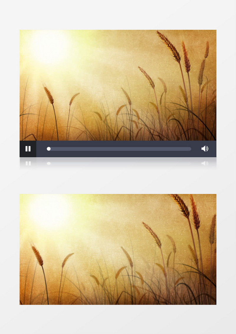 动画动态阳光照耀下的金色麦田麦浪背景视频素材