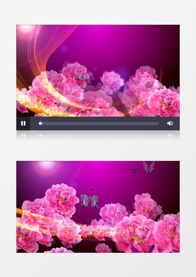 动画动态牡丹运动蝴蝶飞飞光线闪烁背景视频素材