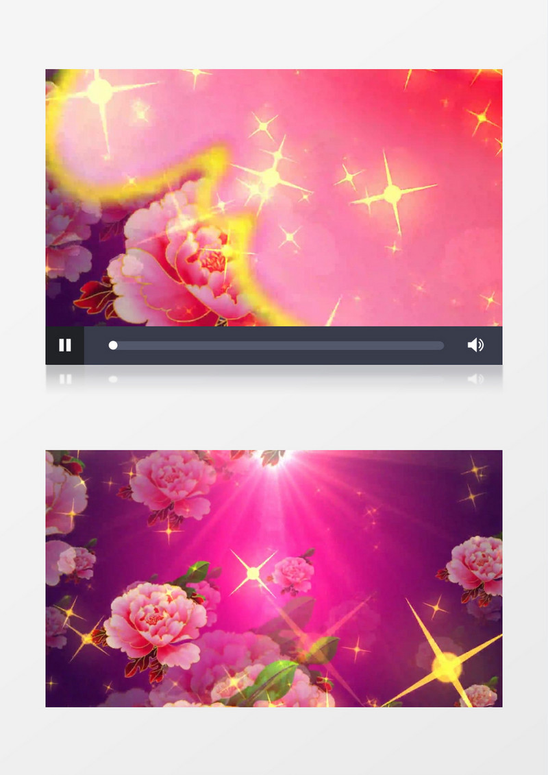 动画动态牡丹花运动星光闪烁背景视频素材