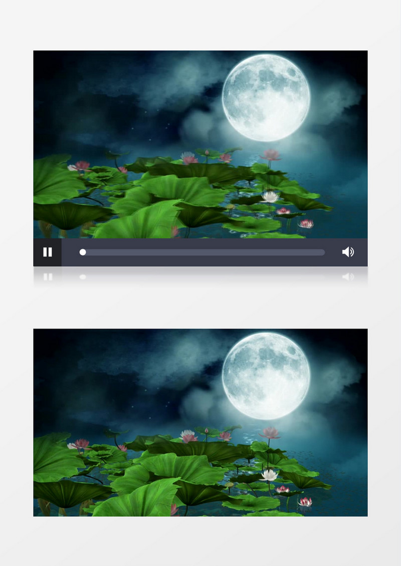  中国风荷塘月色背景视频素材