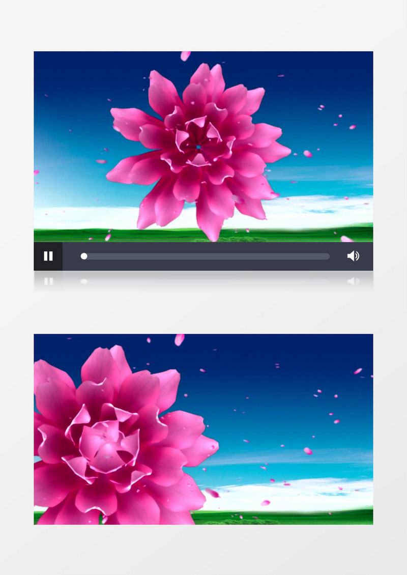 动画动态灯笼牡丹花瓣飞舞背景视频素材