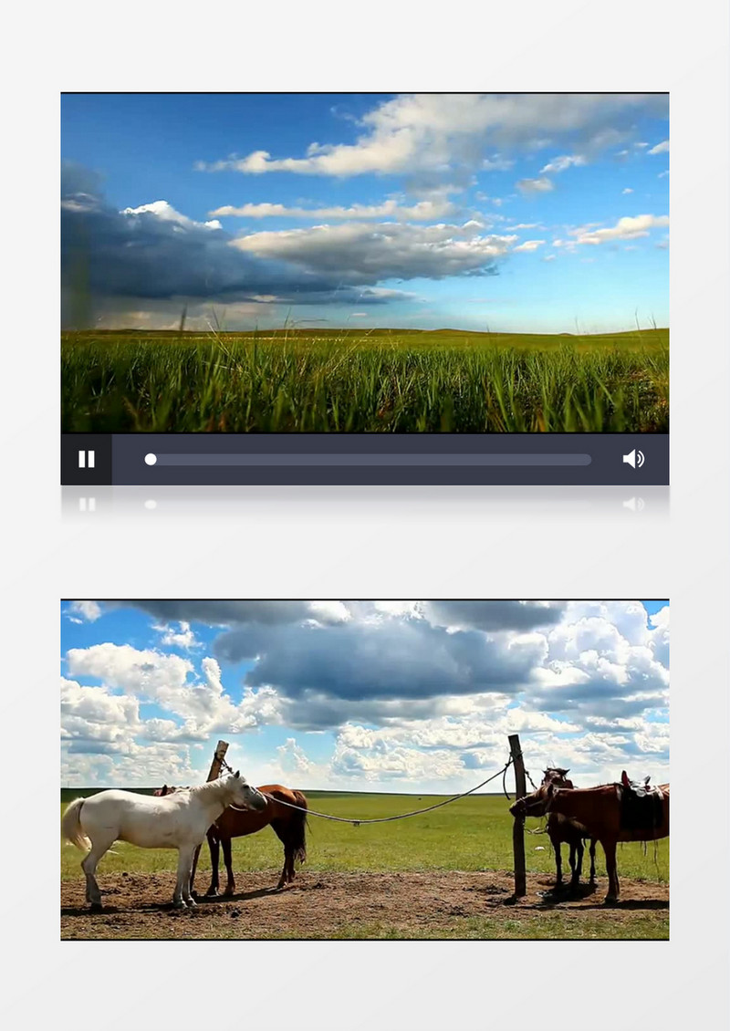 高清拍摄内蒙古呼伦贝尔大草原实拍背景素材