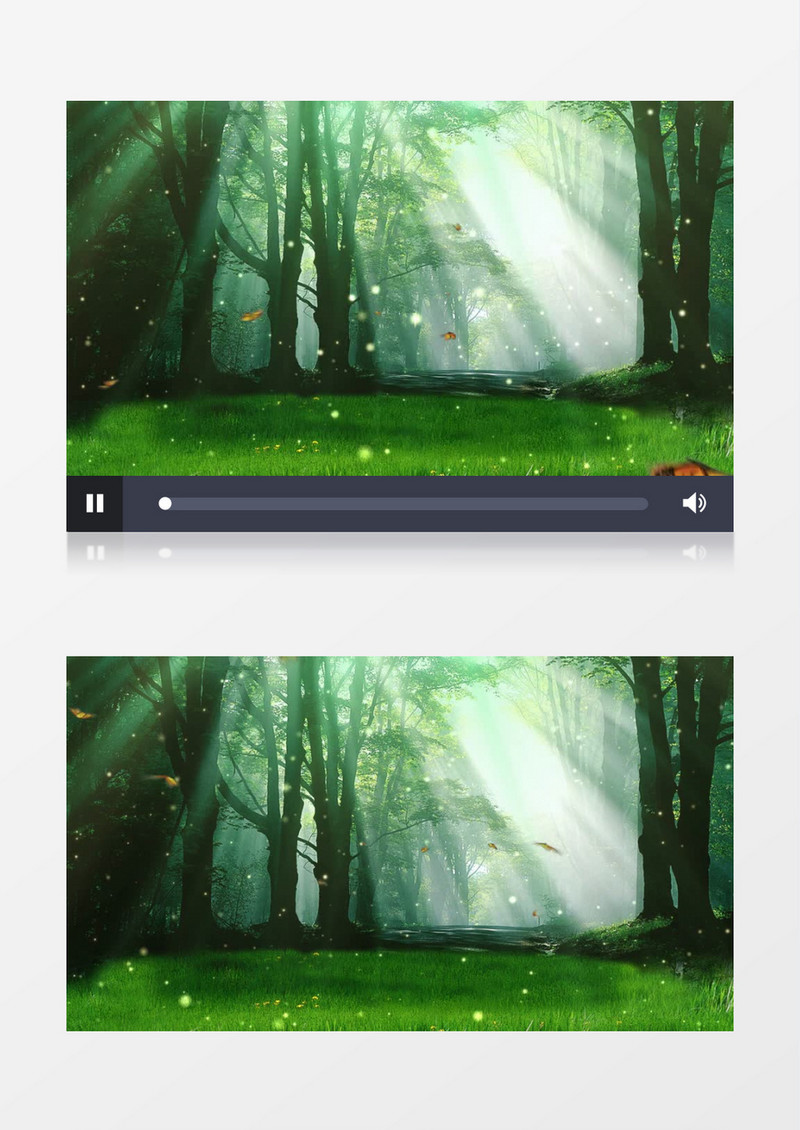 树林草地上彩蝶与光粒子背景视频素材