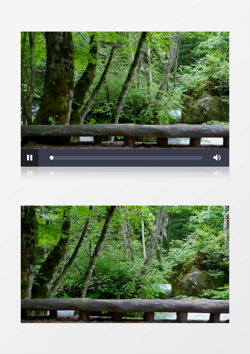 森林漂亮的河流景观视频素材