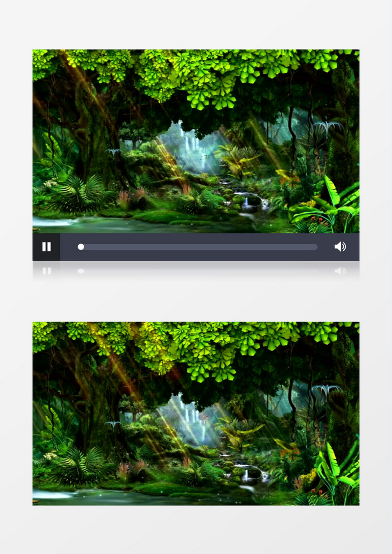 阳光覆盖的树林森林背景视频素材