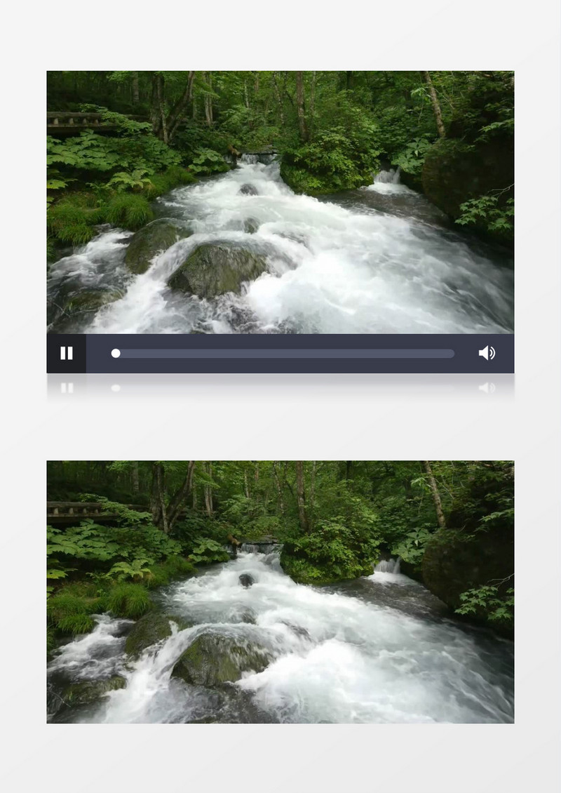 森林树林河流背景视频素材