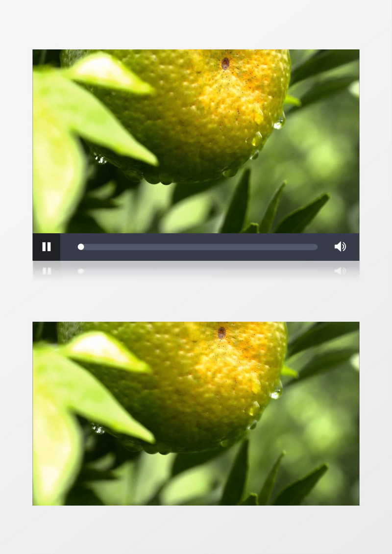 果园新鲜水果近景实拍视频素材