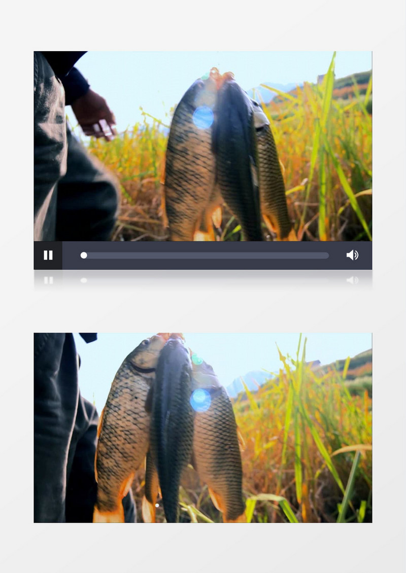 暖阳农民捕鱼特写实拍视频素材
