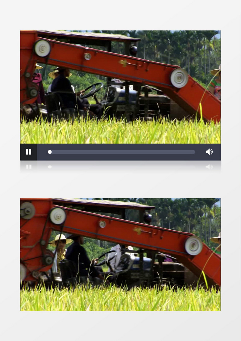 金黄水稻收割机收割实拍视频素材