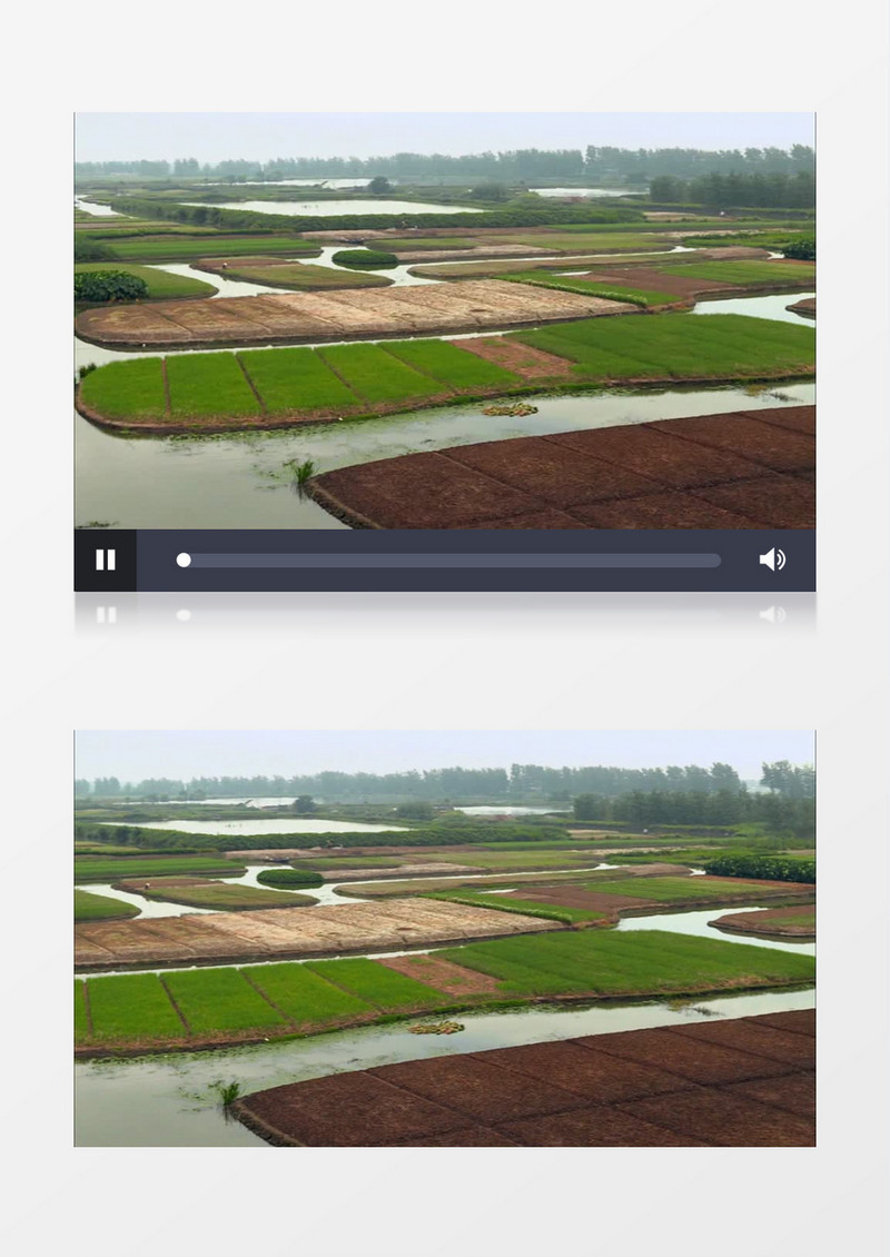 农民庄稼水稻航拍实拍视频素材