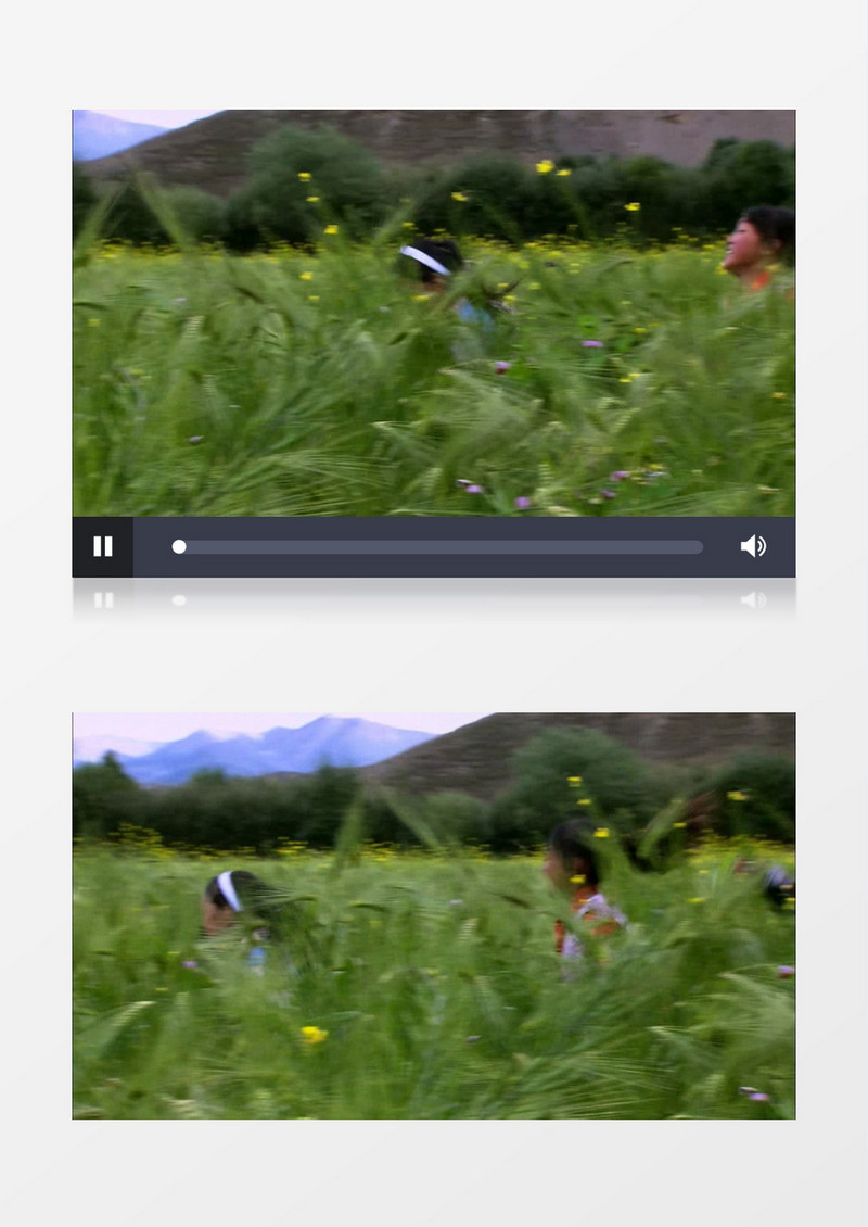 小孩田间水稻玩耍实拍视频素材