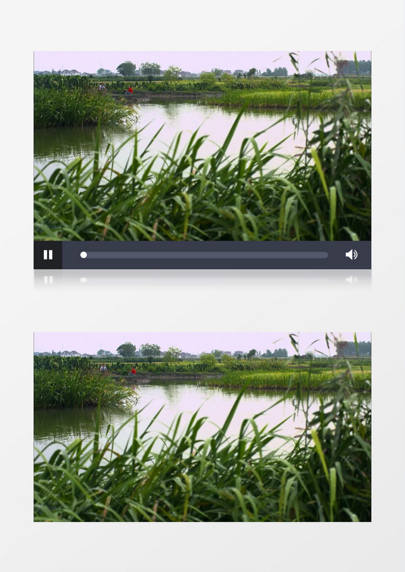 农民划船水面实拍视频素材