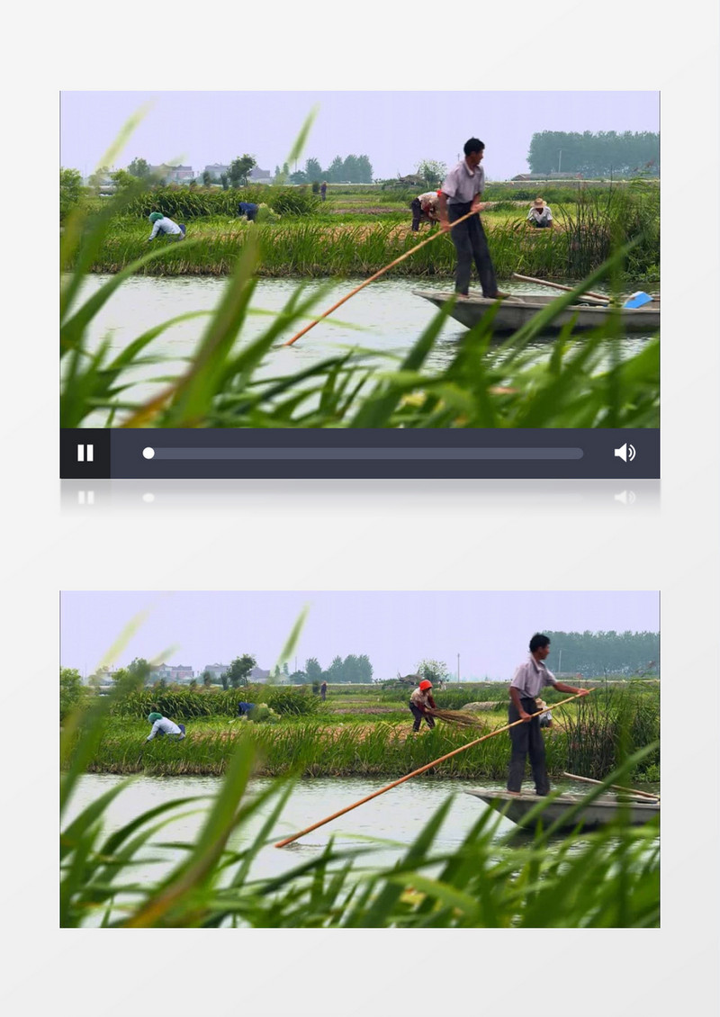 农民下地干活划船近景实拍视频素材