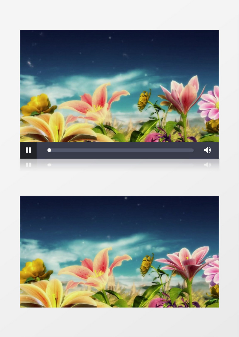 美丽的鲜花绽放背景视频素材