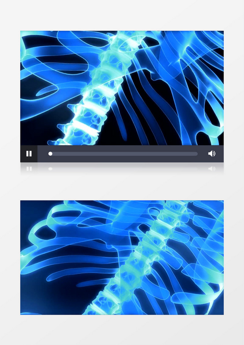 动画动态医学人体骨骼背景视频素材