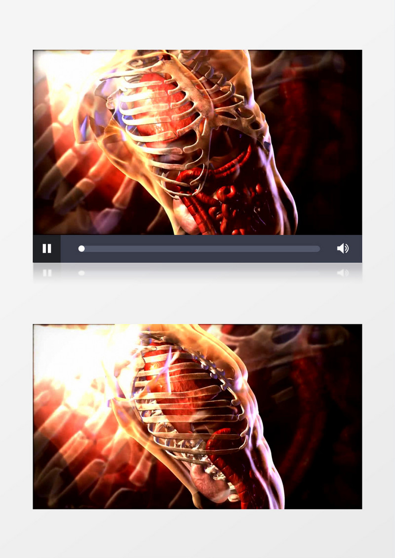 动画动态人体骨骼背景视频素材