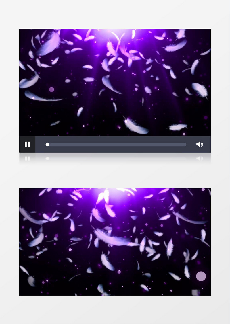 动画动态白色羽毛飞舞飘落紫色背景视频素材