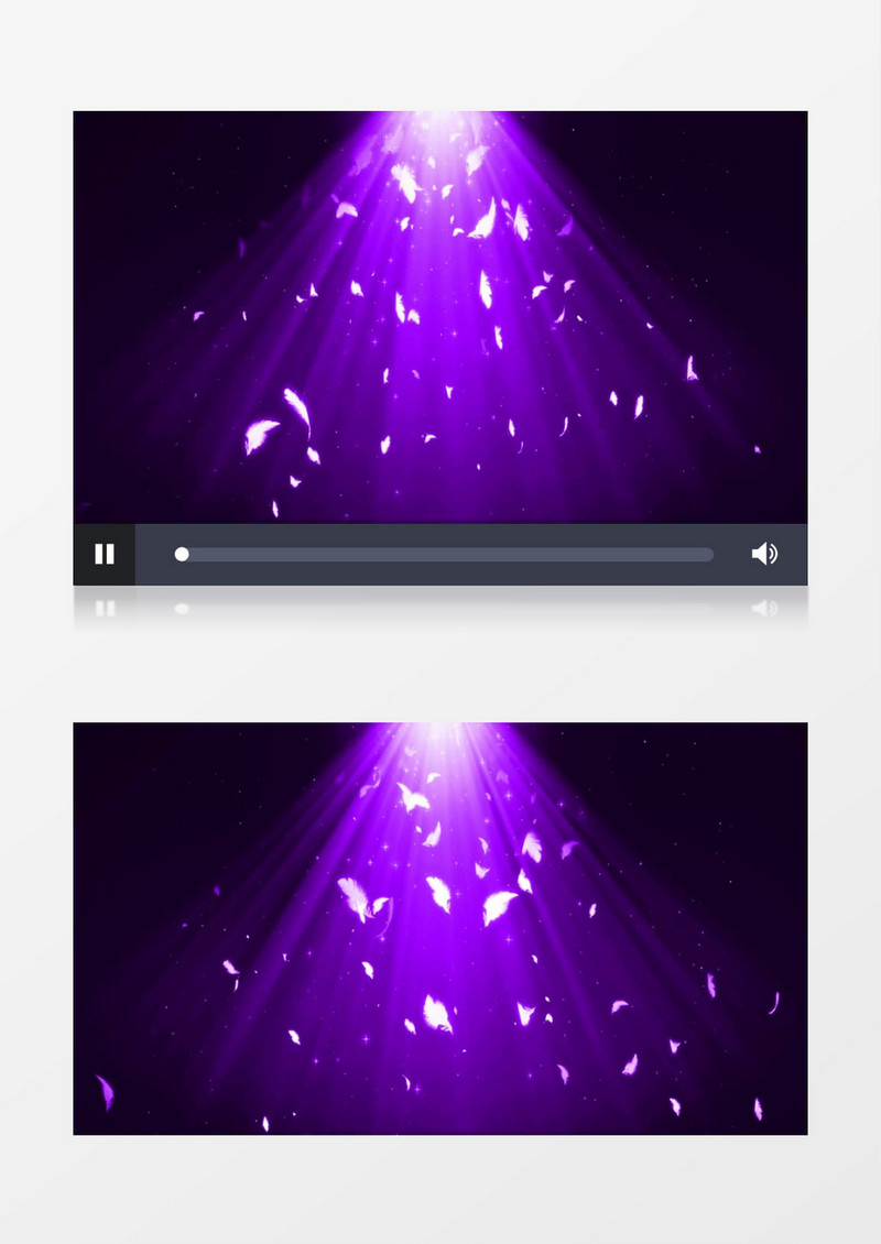 动画动态白色羽毛飞舞飘落紫色光芒背景视频素材