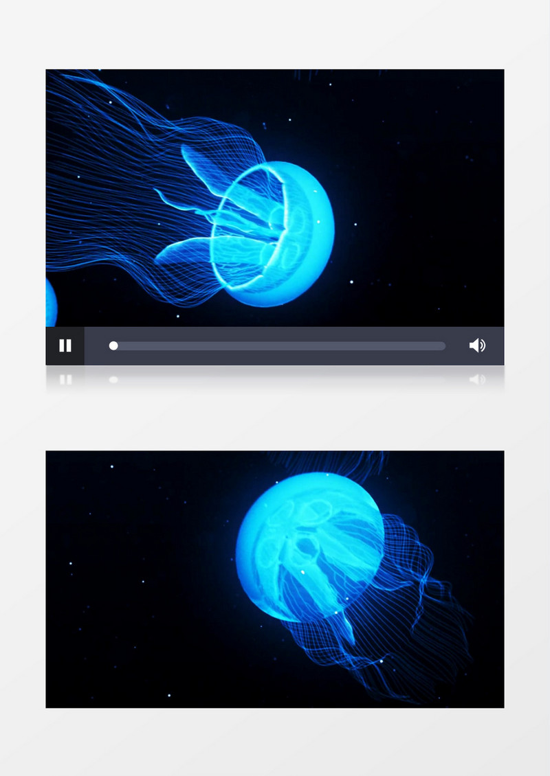 动画动态蓝色荧光水母背景视频素材