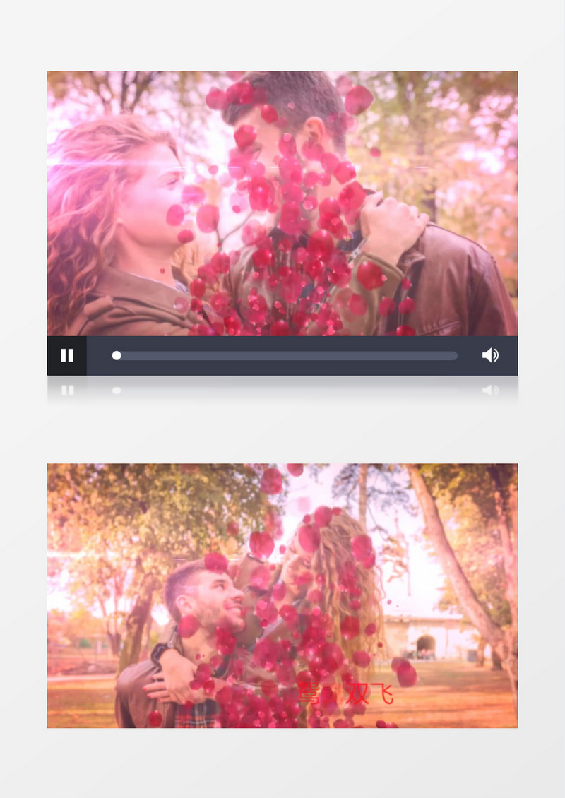 甜蜜浪漫的粉色花瓣之恋婚礼相册AE视频模板