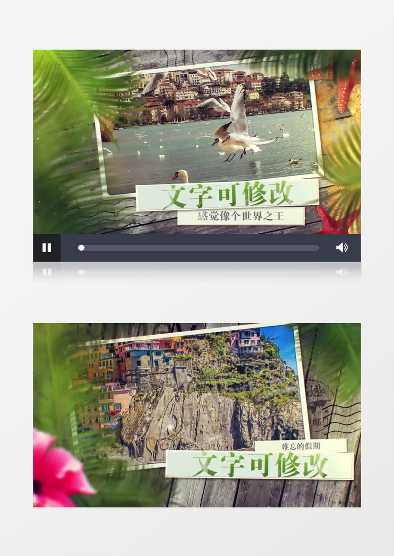 棕榈叶热带风情旅行图文照片相册AE模板