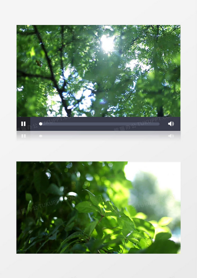 森林阳光实拍（有音乐）背景视频素材