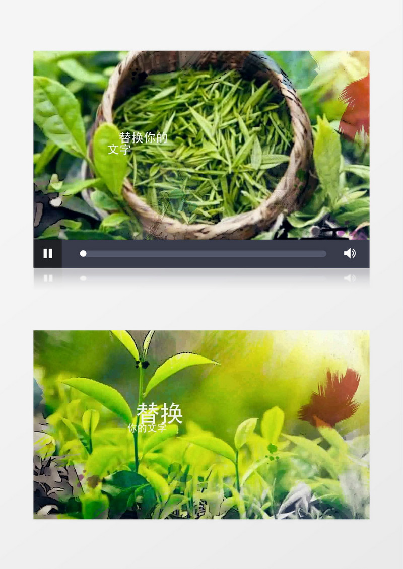 古典中国风茶叶文化宣传视频AE模板