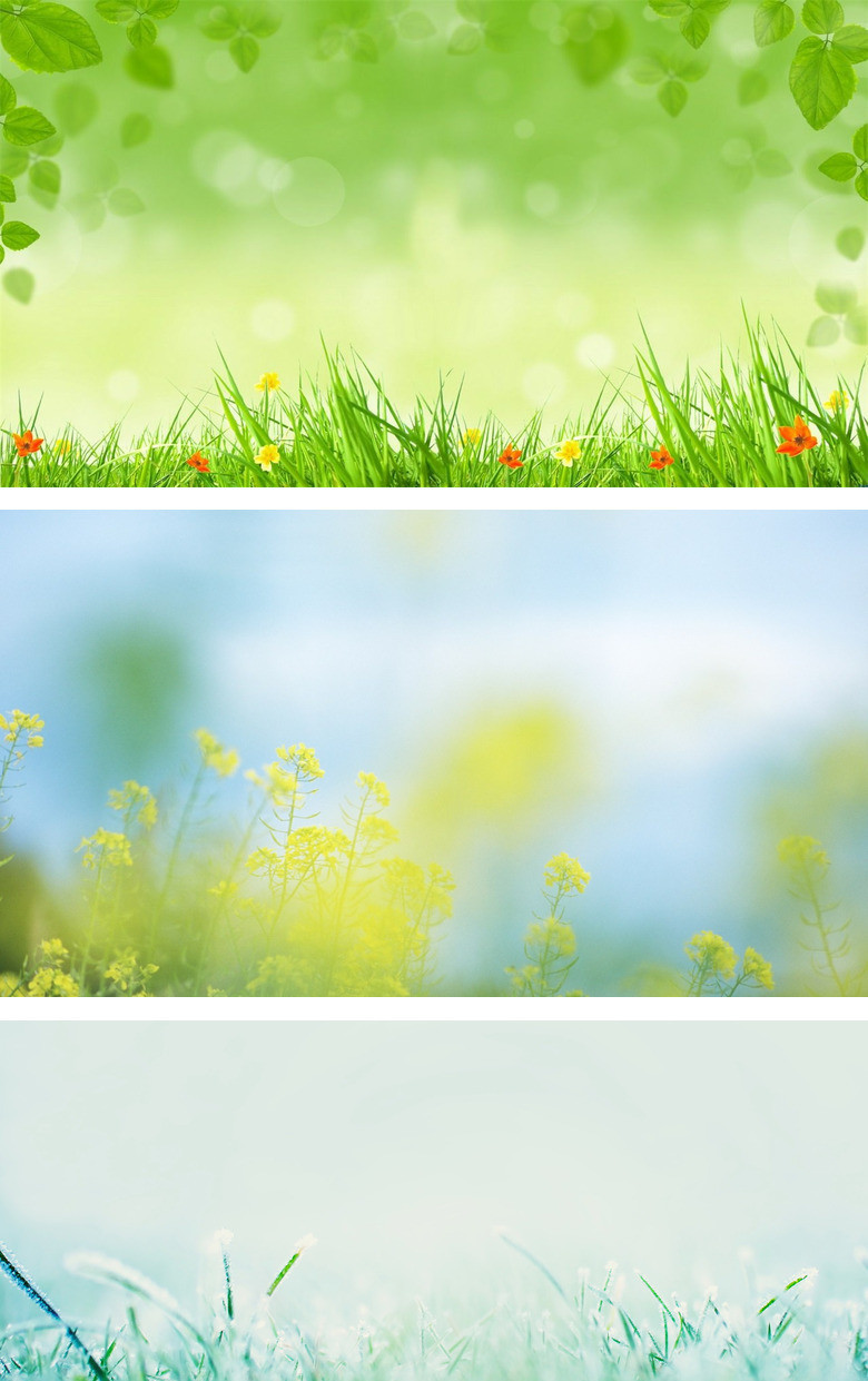 青青绿草地PPT背景图片