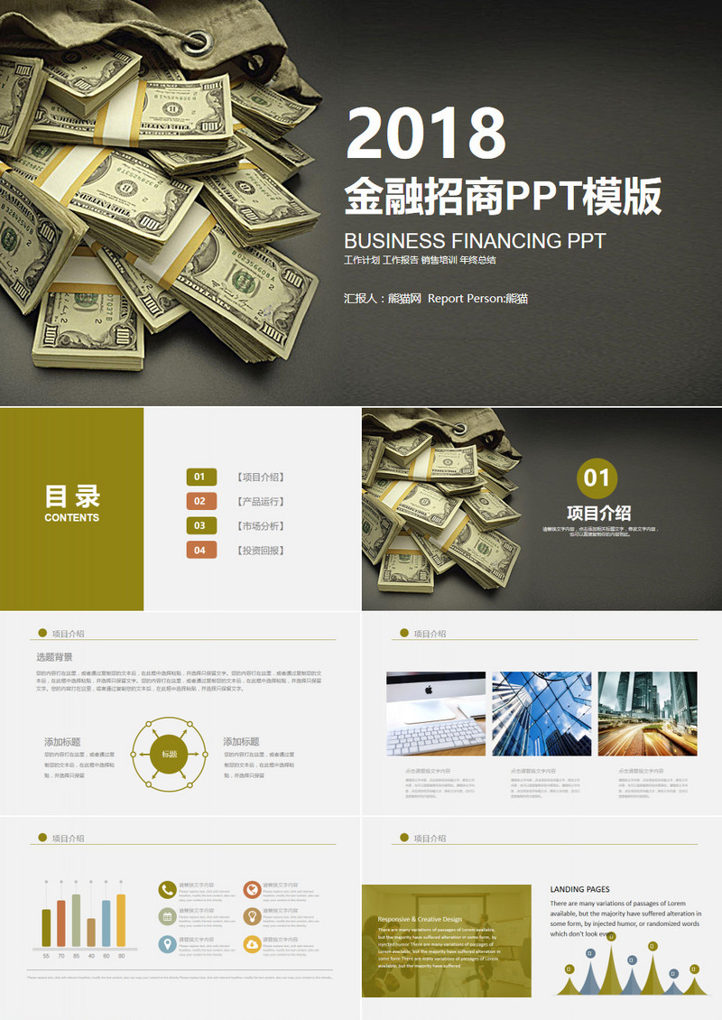 金融招商项目介绍融资PPT模版