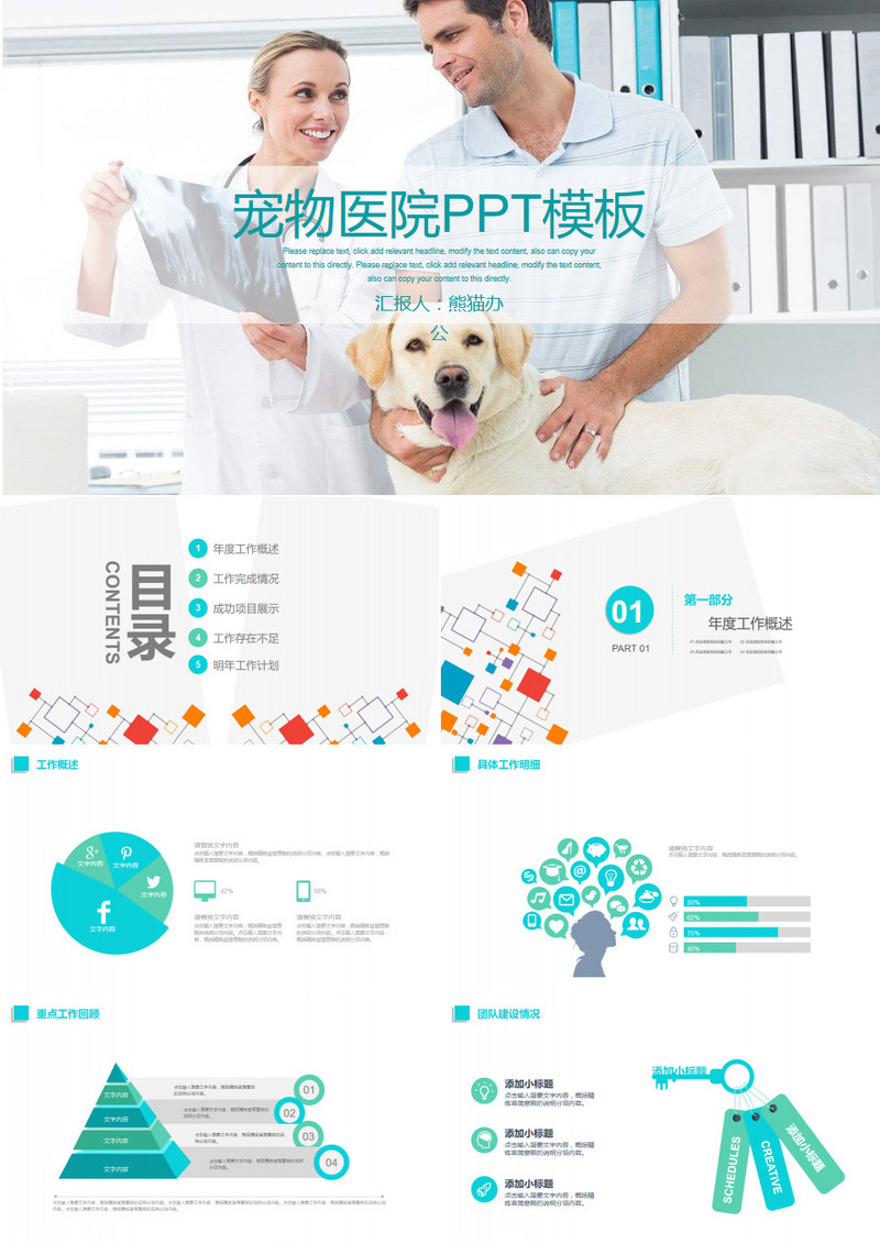 宠物医院兽医工作汇报PPT模板