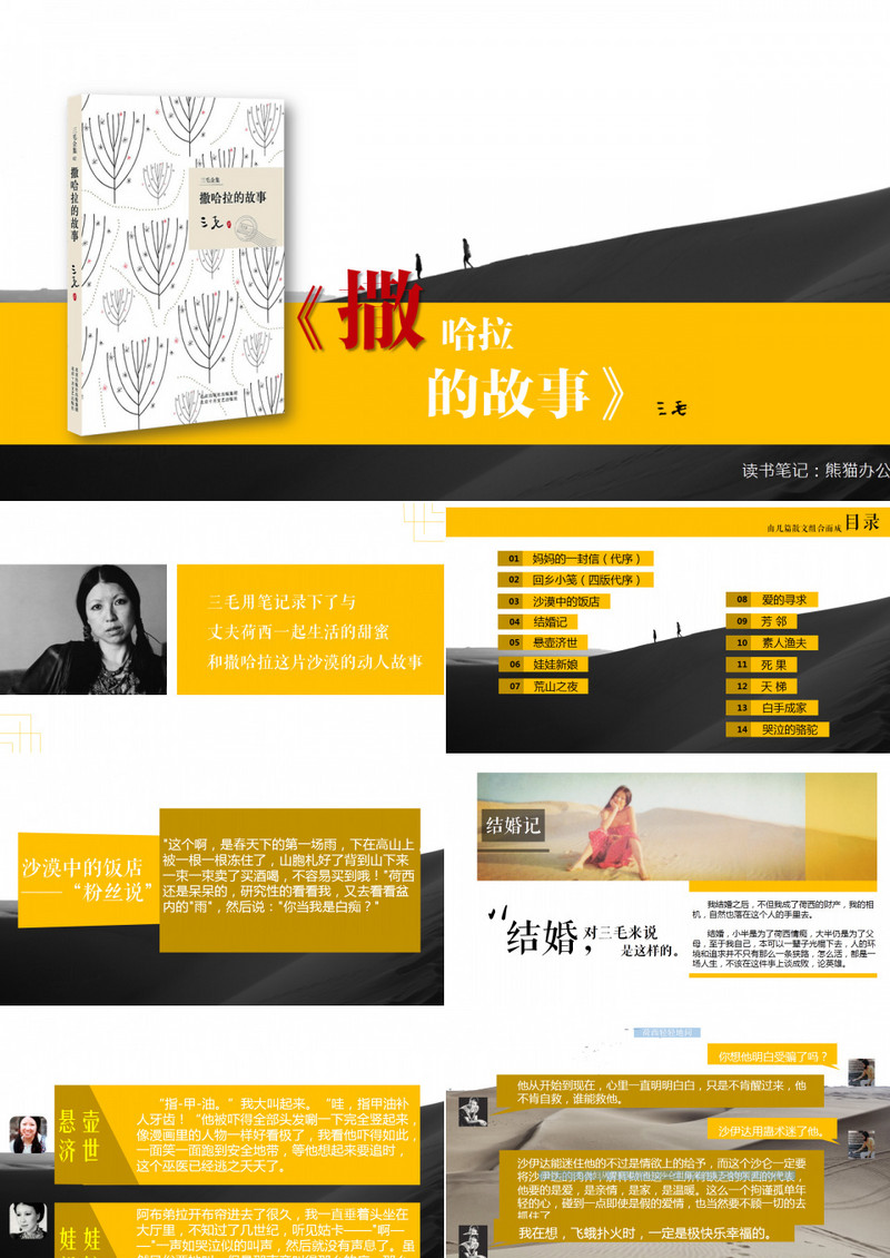 撒哈拉的故事读书笔记PPT作品