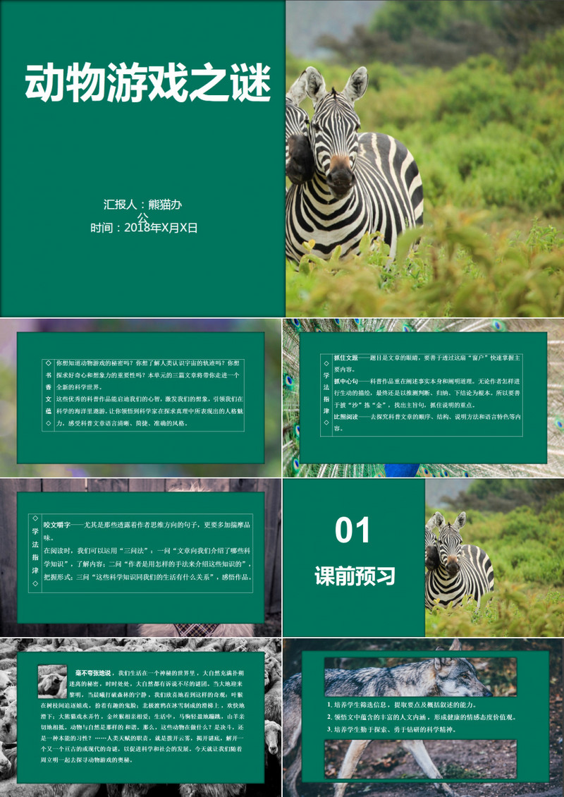动物游戏之谜科普文章培训课件PPT模板