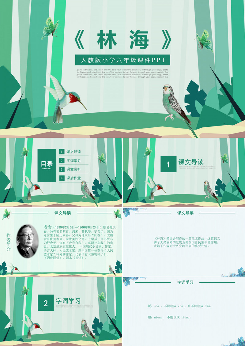 人教版六年级ppt课件之林海