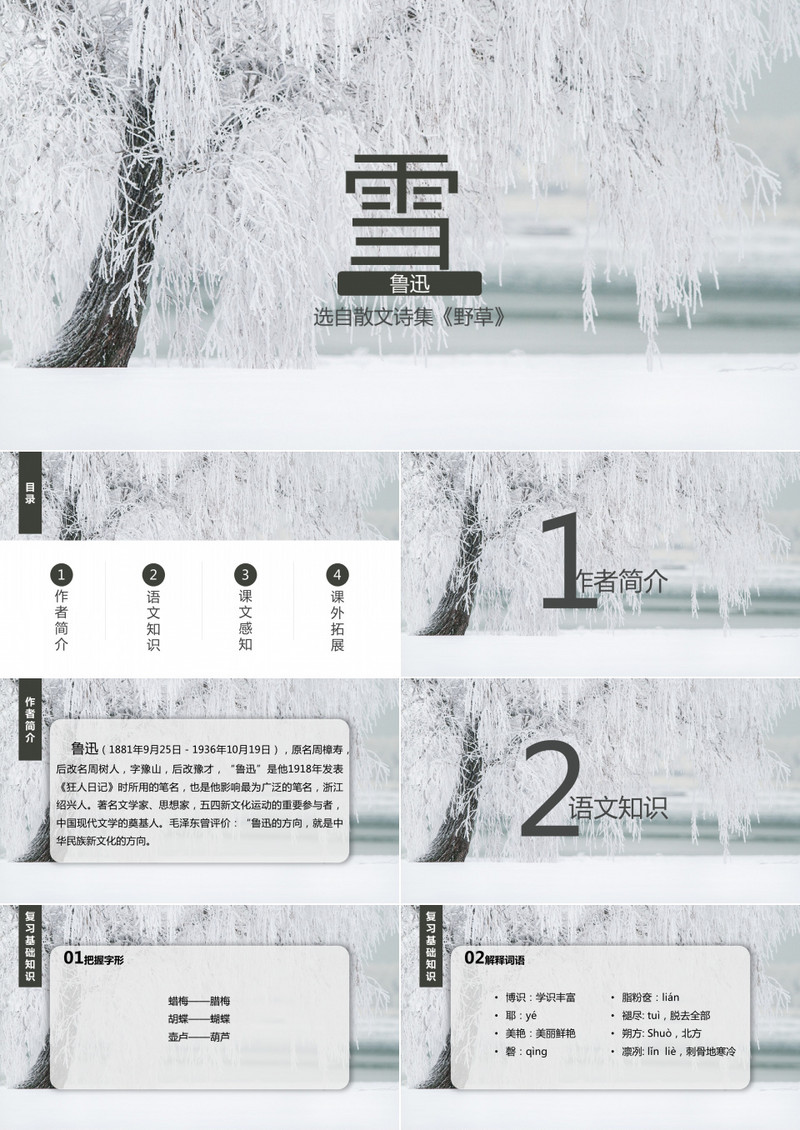 鲁迅散文诗集作品解读《雪》