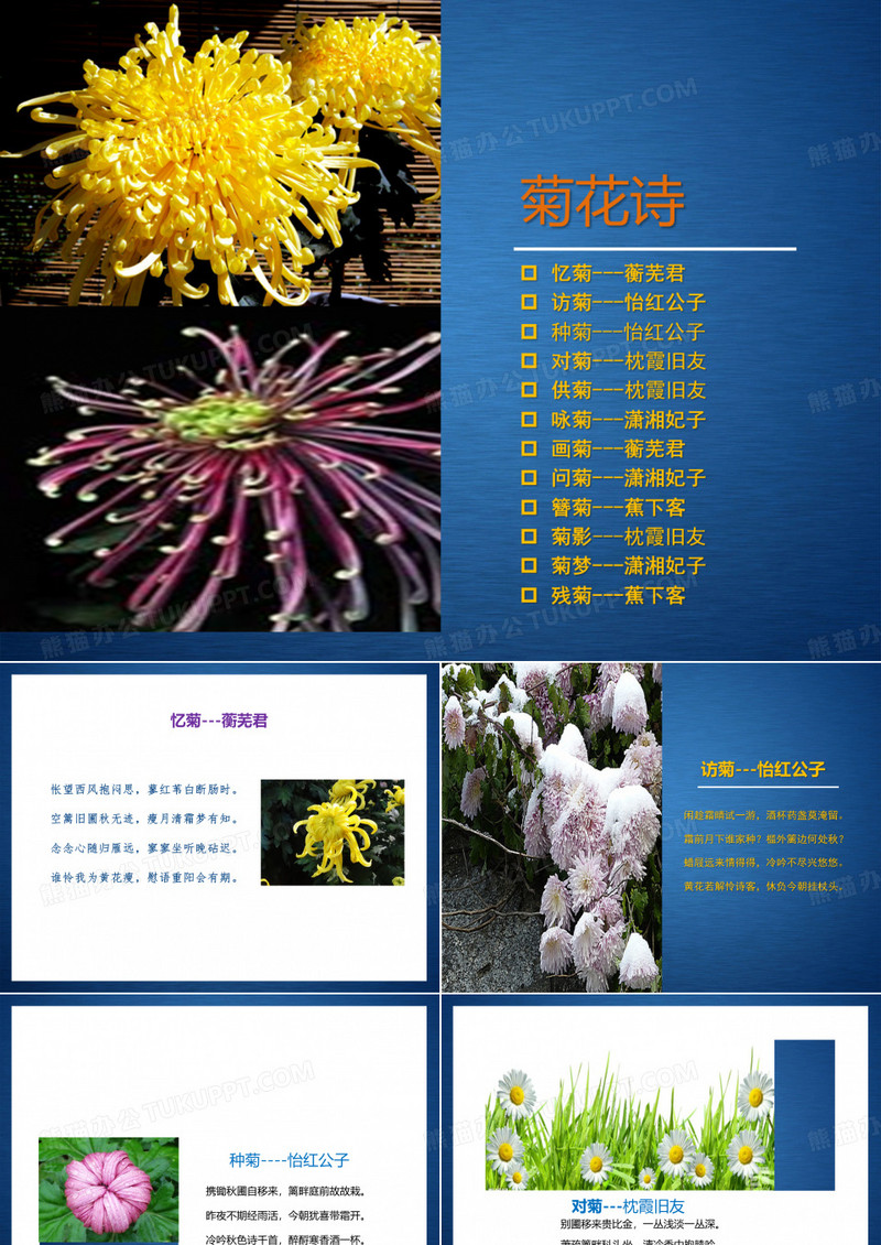 红楼梦菊花诗讲解