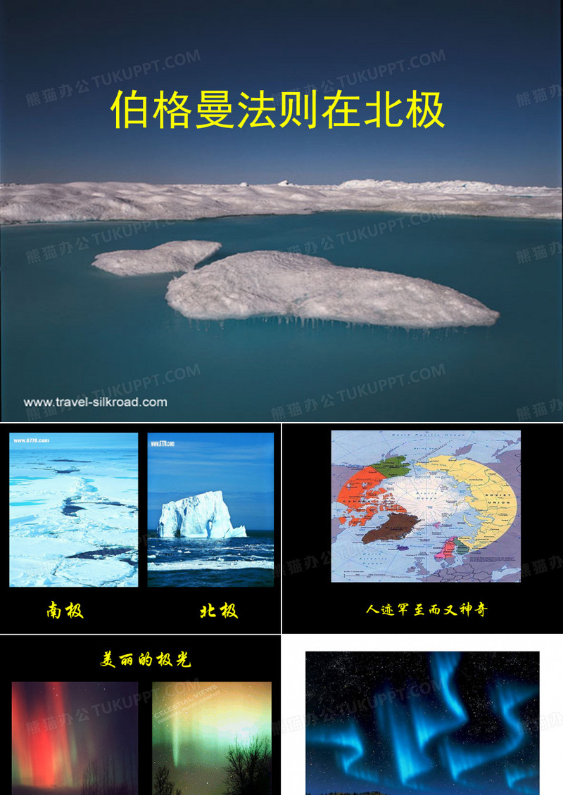 《伯格曼法则在北极》