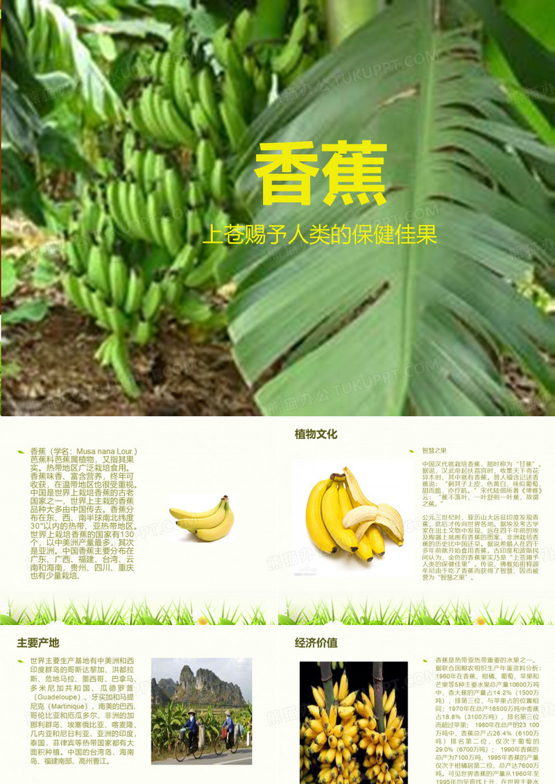 香蕉