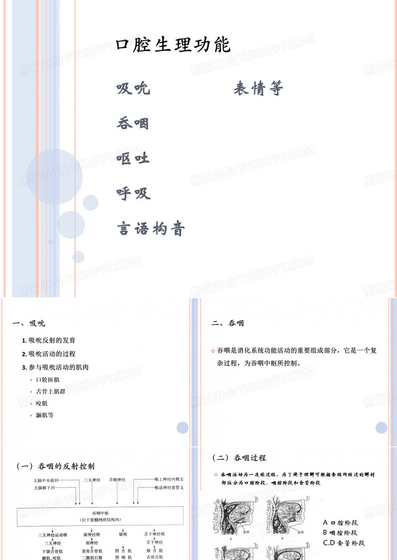 口腔医学—口腔生理功能
