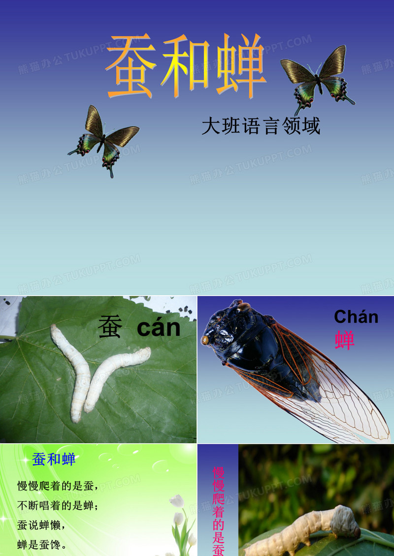 大班语言-蚕和蝉-国赛一等奖PPT课件